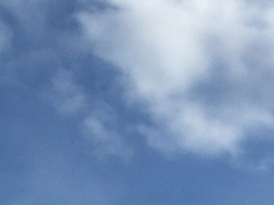 从指纹到掌纹：每个人独特的“手部地图”隐藏着怎样的身份密码？