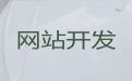 雅安市专业网站设计公司-营销网站建设，专业设计团队