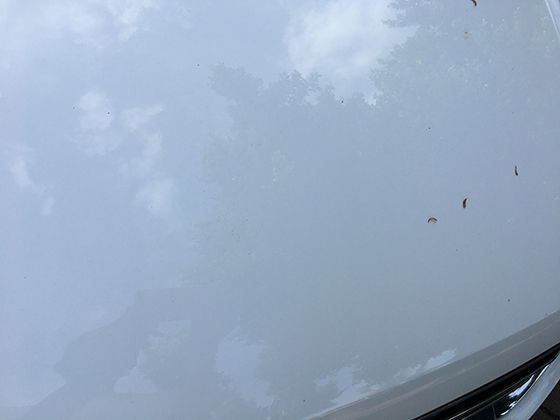 中世纪“黑骑士”并非都邪恶？拆解骑士文化里的黑色符号隐喻