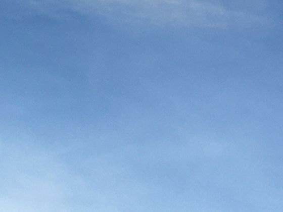 豆子的百变形态：解析黄豆如何转化为豆腐、豆浆和酱油的智慧。