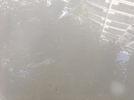 气候变化的影响：海平面上升如何改变沙滩的海岸线？