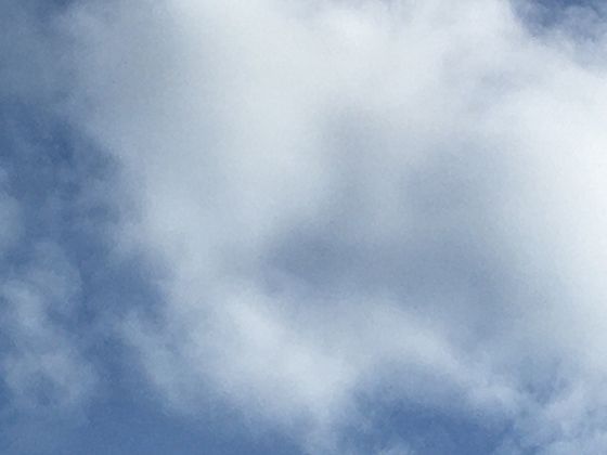 用Excel制作动态数据图表，让你的汇报内容直观有说服力