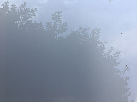 以雷声的文化印记：盘点各国传统中与雷声相关的习俗，感受多元文化魅力