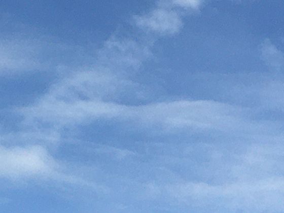 风的全球文化象征：从花信风到希腊风神的神话体系