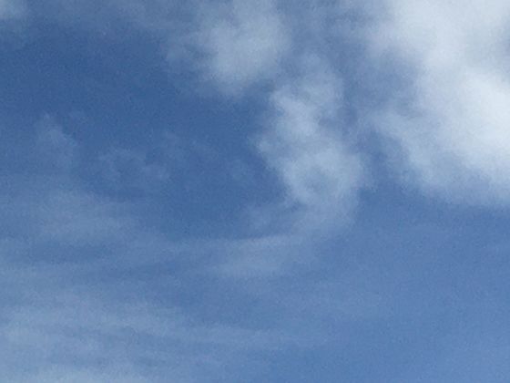 怒江大峡谷的“野性”：这条江为何被称为“东方大峡谷的生命动脉”？