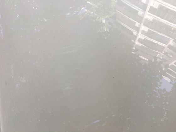 豆子不只是食材！揭秘红豆、绿豆等在不同文化中的象征意义