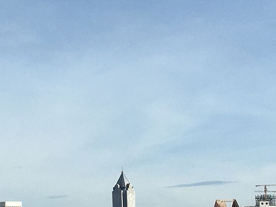 西瓜纹路的形成之谜：深浅绿纹如何在地表接触过程中自然生成