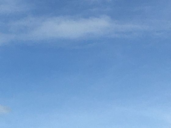 唐代彩绘陶俑：一件“人形器物”背后藏着的盛唐社会风貌与审美趣味