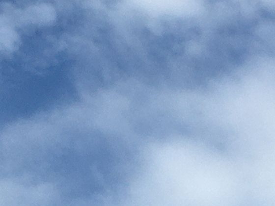 走进亚洲隐秘旷野：从蒙古戈壁到印度塔尔，感受不一样的苍茫