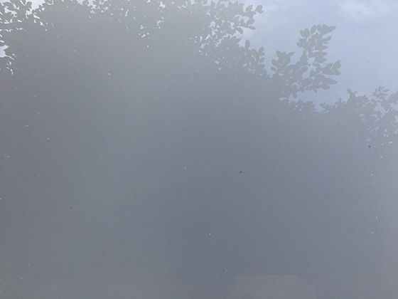 块茎类作物的经济密码：它们如何成为全球许多地区重要的粮食与经济作物