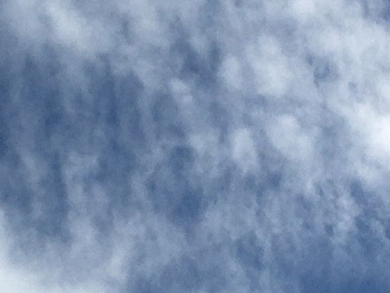 不止蔗糖和果糖！那些冷门糖的名称里，藏着你不知道的植物来源故事