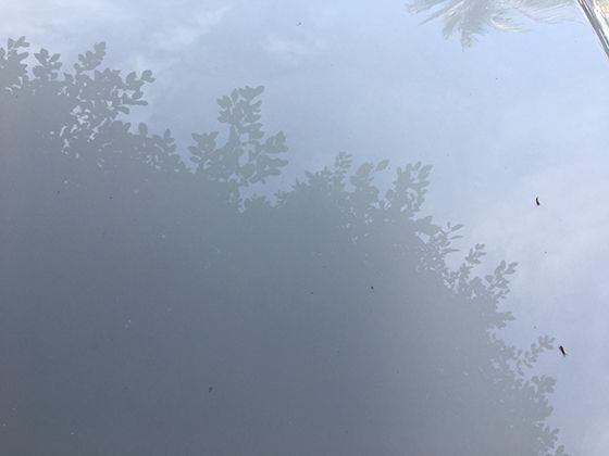 染烫后头发像枯草？3个低成本护理法，在家就能让头发恢复柔顺