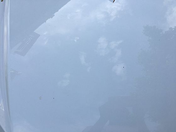 伏尔加河：俄罗斯的“灵魂之河”，伏尔加河承载着哪些东欧草原的记忆？