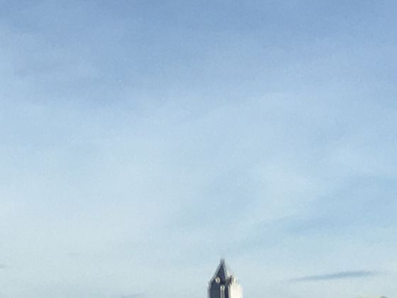 竹笋在传统文化中的寓意：从诗词典故到民俗符号，藏着古人对自然的细腻感知