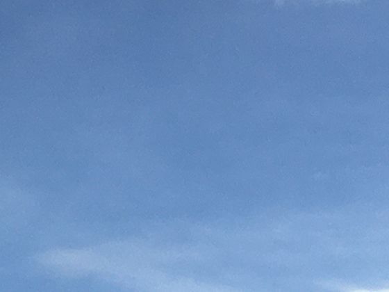 裹着“星星”的百香果：南美原生果的味觉密码与全球饮品创新中的应用逻辑