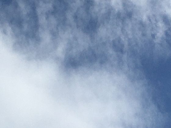 小礼服：鸡尾酒会的时尚选择，短裙长如何展现独特魅力