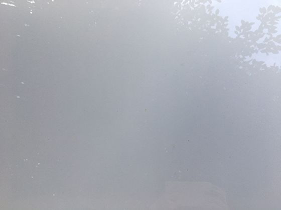 氧气出现后，生命从单细胞“爆发”成复杂生物？这步进化用了10亿年