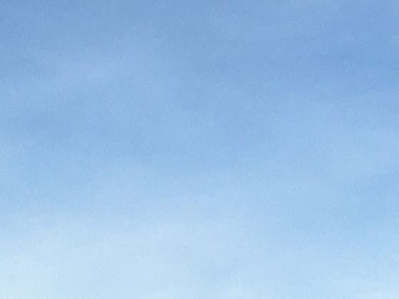 从田间到餐桌：结球甘蓝的种植历史与在全球饮食文化中的独特地位