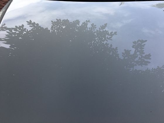 国际象棋特级大师成长路：借棋手成绩拆解战略思维与逻辑知识体系