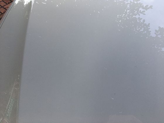 晚礼服的色彩密码：黑色神秘、红色热情，你适合哪种？